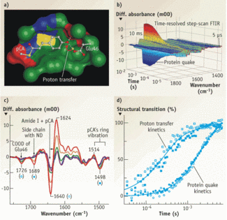 nuclear time in resonance nuclear time in resonance