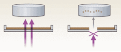 FIGURE 2. Zeiss’s PALM system uses a UV laser to cut the tissue (left) and catapult the dissected cells by photonic pressure (right). The dissected cells are retrieved in the cap of a tube. FIGURE 2. Zeiss’s PALM system uses a UV laser to cut the tissue (left) and catapult the dissected cells by photonic pressure (right). The dissected cells are retrieved in the cap of a tube.