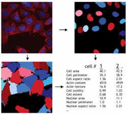FIGURE 2. CellProfiler provides an open-source approach to capturing and analyzing data from images. FIGURE 2. CellProfiler provides an open-source approach to capturing and analyzing data from images.