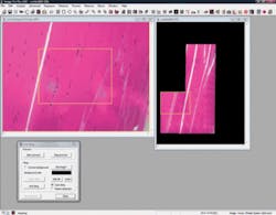 FIGURE 4. Image-Pro Plus version 7.0 lets users tile large images without an automated stage. FIGURE 4. Image-Pro Plus version 7.0 lets users tile large images without an automated stage.