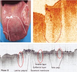Th Mult 05 Th Mult 05