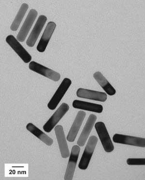 Gold nanorods developed at MIT absorb energy from near-infrared light and emit it as heat, destroying cancer cells.