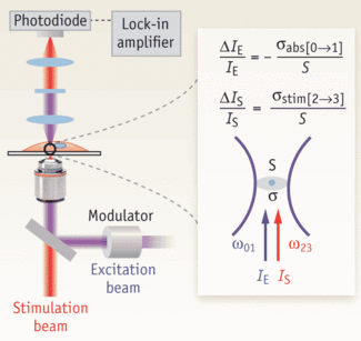 FIGURE 1. The relative energy gain or loss of the stimulation and excitation beam, respectively, for a single chromophore at the laser focus (area of S), is given by the equations (inset).