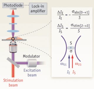 FIGURE 1. The relative energy gain or loss of the stimulation and excitation beam, respectively, for a single chromophore at the laser focus (area of S), is given by the equations (inset).