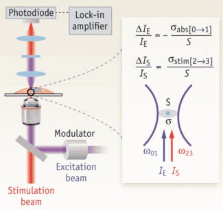 FIGURE 1. The relative energy gain or loss of the stimulation and excitation beam, respectively, for a single chromophore at the laser focus (area of S), is given by the equations (inset).