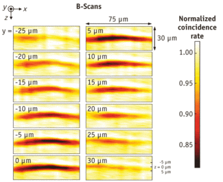 Results of the researchers&rsquo; onion-skin sample tests produced 2-D (x, y) sections at different axial (z) depths.