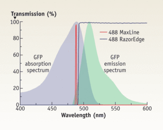 Figure 1. A narrow laser line combined with a narrowband laser-line cleanup filter allows optimal excitation of the desired fluorophore (here green fluorescent protein, or GFP). This, combined with a steep edge filter allows almost perfect spectral efficiency for collection of weak fluorescence signals.