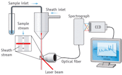 Th Raman 0709 02 Th Raman 0709 02