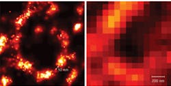 FIGURE 1. Microtubuli in Cos7 cells, stained with Alexa647, are imaged by photoactivated localization microscopy (PALM; left) and total internal reflection fluorescence (TIRF) microscopy (right). FIGURE 1. Microtubuli in Cos7 cells, stained with Alexa647, are imaged by photoactivated localization microscopy (PALM; left) and total internal reflection fluorescence (TIRF) microscopy (right).