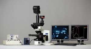 FIGURE 1. The HSI microscope system includes a smooth spectrum halogen light source, spectral imager (Headwall Photonics), color camera (Dage-MTI, Michigan City, IN) and automated stage (Prior Scientific). Dual monitors allow the image and spectral data to appear on separate screens.