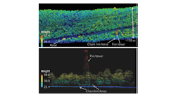 The single-photon lidar system provides an oblique view (top) and a side-view image (bottom) of the biomass distribution in the New Jersey Pine Barrens, including a fire tower surrounded by a chain-link fence. An independent ground-based hypsometer measurement of the tower height at 33.3 + 0.3 m was in good agreement with the 33.2 m height determined by the lidar.