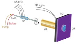 A piezoelectrically (PZ) actuated scanning-fiber endoscope delivers pump/Stokes light for CARS and SRS microscopy in a spiral pattern to biological tissue through a special gradient-index (GRIN) objective lens (OL). An optical filter (OF) transmits the anti-Stokes wavelength to a photodiode (PD) for processing. The physical endoscope uses a 1 m section of fiber and the fiber scanner and objective lens are only 1.4 mm in diameter. Though the current system uses a 10 mm photodiode for light collection, simulations indicate that collection using a 5 mm or smaller detector will be possible. A piezoelectrically (PZ) actuated scanning-fiber endoscope delivers pump/Stokes light for CARS and SRS microscopy in a spiral pattern to biological tissue through a special gradient-index (GRIN) objective lens (OL). An optical filter (OF) transmits the anti-Stokes wavelength to a photodiode (PD) for processing. The physical endoscope uses a 1 m section of fiber and the fiber scanner and objective lens are only 1.4 mm in diameter. Though the current system uses a 10 mm photodiode for light collection, simulations indicate that collection using a 5 mm or smaller detector will be possible.
