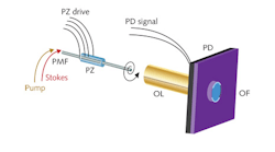 A piezoelectrically (PZ) actuated scanning-fiber endoscope delivers pump/Stokes light for CARS and SRS microscopy in a spiral pattern to biological tissue through a special gradient-index (GRIN) objective lens (OL). An optical filter (OF) transmits the anti-Stokes wavelength to a photodiode (PD) for processing. The physical endoscope uses a 1 m section of fiber and the fiber scanner and objective lens are only 1.4 mm in diameter. Though the current system uses a 10 mm photodiode for light collection, simulations indicate that collection using a 5 mm or smaller detector will be possible.