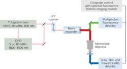 FIGURE 3. Components of a comprehensive nonlinear microscope with the optimal detectors for each form of imaging. The fluorescence detector can be designed for multiple wavelength and spectroscopic detection. Fluorescent lifetime imaging module is optional. FIGURE 3. Components of a comprehensive nonlinear microscope with the optimal detectors for each form of imaging. The fluorescence detector can be designed for multiple wavelength and spectroscopic detection. Fluorescent lifetime imaging module is optional.