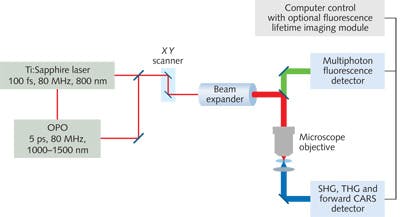 FIGURE 3. Components of a comprehensive nonlinear microscope with the optimal detectors for each form of imaging. The fluorescence detector can be designed for multiple wavelength and spectroscopic detection. Fluorescent lifetime imaging module is optional.