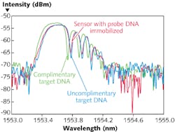 FIGURE 4. A shift in the Bragg wavelength of the fundamental mode occurs after hybridization with complimentary DNA in the FBG-based biosensor. The introduction of uncomplimentary DNA to the sensor surface produces no shift in the wavelength. FIGURE 4. A shift in the Bragg wavelength of the fundamental mode occurs after hybridization with complimentary DNA in the FBG-based biosensor. The introduction of uncomplimentary DNA to the sensor surface produces no shift in the wavelength.