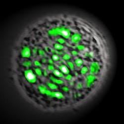 FIGURE 1. Among the 'Hot Topics' that will be discussed at the popular Saturday evening BiOS session is the 'bio laser' developed at Harvard/Massachusetts General Hospital, which both CNN and The New York Times covered this summer. FIGURE 1. Among the 'Hot Topics' that will be discussed at the popular Saturday evening BiOS session is the 'bio laser' developed at Harvard/Massachusetts General Hospital, which both CNN and The New York Times covered this summer.