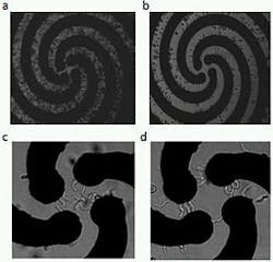 1112lfw Pw Preview Fig2right 1112lfw Pw Preview Fig2right