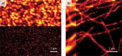 FIGURE 2. gSTED imaging with a 577 nm OPSL. Scanning confocal and gSTED images of (a) 40 nm fluorescent yellow-green beads and (b) microtubule in mammalian cells immunostained with Alexa 488. Spatial resolution in (a) is 50 nm. FIGURE 2. gSTED imaging with a 577 nm OPSL. Scanning confocal and gSTED images of (a) 40 nm fluorescent yellow-green beads and (b) microtubule in mammalian cells immunostained with Alexa 488. Spatial resolution in (a) is 50 nm.