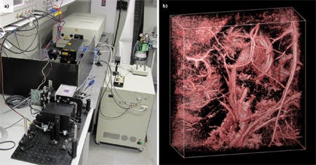 FIGURE 2. A photoacoustic imaging setup (a) that includes an Nd:YAG pump laser, plus an optical parametric oscillator (OPO) from GWU generated this view (b) of the abdominal blood vessels of a mouse.