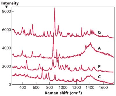 FIGURE 2. Raman spectra are shown for the amino acids glutamine (G), alanine (A), proline (P), and cysteine (C)&mdash;important biomarkers that could indicate the presence of life beyond Earth.