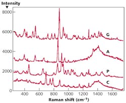 FIGURE 2. Raman spectra are shown for the amino acids glutamine (G), alanine (A), proline (P), and cysteine (C)—important biomarkers that could indicate the presence of life beyond Earth. FIGURE 2. Raman spectra are shown for the amino acids glutamine (G), alanine (A), proline (P), and cysteine (C)—important biomarkers that could indicate the presence of life beyond Earth.