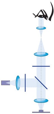 FIGURE 1. Standard fluorescence microscopy design uses multiple filters to isolate light in both illumination and signal channels. Getting the right filter performance can be challenging and costly. FIGURE 1. Standard fluorescence microscopy design uses multiple filters to isolate light in both illumination and signal channels. Getting the right filter performance can be challenging and costly.