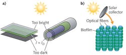 FIGURE 1. For solar fuel production, a schematic shows uneven light distribution due to cell-to-cell shading inherent in bulk-suspension-type photobioreactors and ponds (a). But a conceptual schematic of an optical-fiber-based photobioreactor using evanescent illumination (b) provides light and fluids to all cells within the reactor. FIGURE 1. For solar fuel production, a schematic shows uneven light distribution due to cell-to-cell shading inherent in bulk-suspension-type photobioreactors and ponds (a). But a conceptual schematic of an optical-fiber-based photobioreactor using evanescent illumination (b) provides light and fluids to all cells within the reactor.