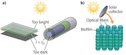 FIGURE 1. For solar fuel production, a schematic shows uneven light distribution due to cell-to-cell shading inherent in bulk-suspension-type photobioreactors and ponds (a). But a conceptual schematic of an optical-fiber-based photobioreactor using evanescent illumination (b) provides light and fluids to all cells within the reactor. FIGURE 1. For solar fuel production, a schematic shows uneven light distribution due to cell-to-cell shading inherent in bulk-suspension-type photobioreactors and ponds (a). But a conceptual schematic of an optical-fiber-based photobioreactor using evanescent illumination (b) provides light and fluids to all cells within the reactor.
