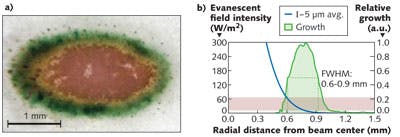 FIGURE 3. Brightfield images (a) show S. elongatus grown with evanescent illumination. A graph (b) shows the correlation of growth to the average evanescent field intensity between the surface and 5 &mu;m from the surface, approximately equal to the width of a cell.