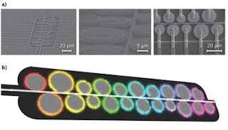 FIGURE 3. Electron micrographs show the manufactured resonator-based spectrometer chip (a). A schematic of a single chip shows how each resonator couples to a different wavelength (b).
