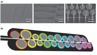 FIGURE 3. Electron micrographs show the manufactured resonator-based spectrometer chip (a). A schematic of a single chip shows how each resonator couples to a different wavelength (b).
