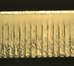 1210lfw Fea3 Fig4 1210lfw Fea3 Fig4