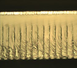 1210lfw Fea3 Fig4 1210lfw Fea3 Fig4