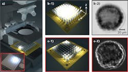 1212lfw01f1 1212lfw01f1