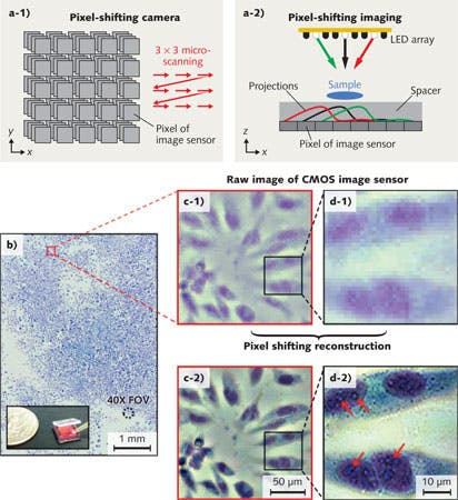 MICROSCOPY: Programmable LED array makes microscopes more versatile ...