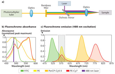 OPTICS FOR BIOPHOTONICS: Multivariate Optical Elements Beat Bandpass ...