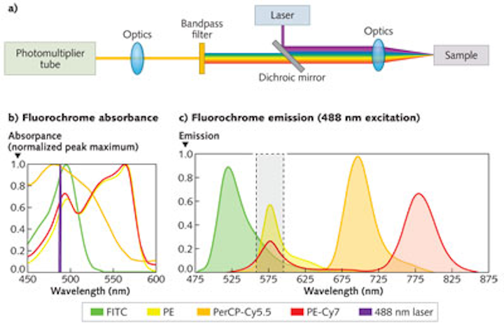 OPTICS FOR BIOPHOTONICS: Multivariate optical elements beat bandpass ...