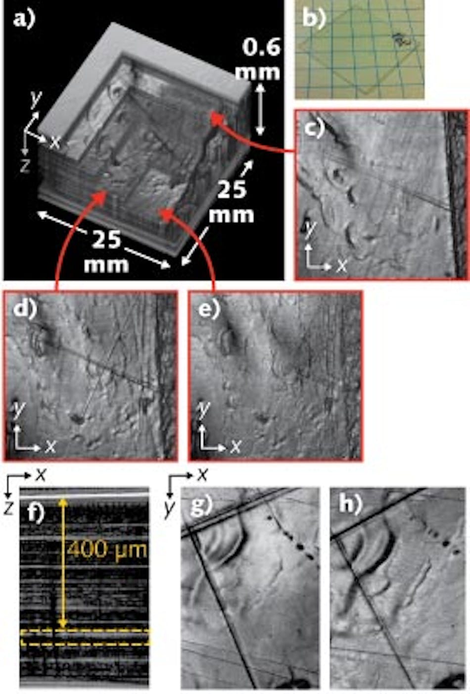 The internal structure of a thermopressed GRIN sheet is imaged in 3D via swept-source Fourier-domain OCT (SS-OCT) (a). The sheet is also shown in a photo (b). Slices of the OCT data at different depths show internal structure (c through e). The yellow dotted line in a 2D cross-section through the sheet highlights a particular polymer layer; the topography of this layer is revealed in two OCT renderings of the layer, one imaged from the top of the sheet (g) and the other from the bottom (h).