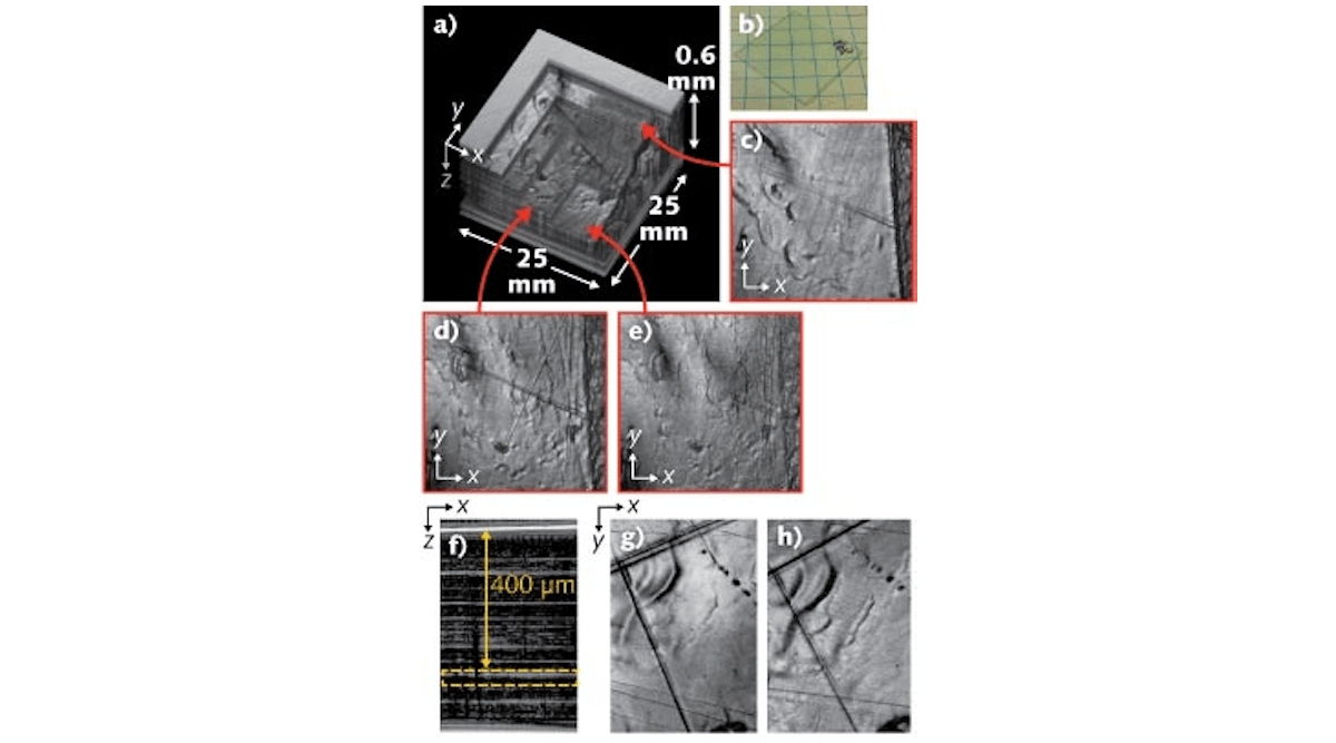 The internal structure of a thermopressed GRIN sheet is imaged in 3D via swept-source Fourier-domain OCT (SS-OCT) (a). The sheet is also shown in a photo (b). Slices of the OCT data at different depths show internal structure (c through e). The yellow dotted line in a 2D cross-section through the sheet highlights a particular polymer layer; the topography of this layer is revealed in two OCT renderings of the layer, one imaged from the top of the sheet (g) and the other from the bottom (h).