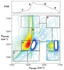 FIGURE 4. Infrared spectra of the amylin polypeptide associated with type 2 diabetes are shown in two forms: (top) a FTIR spectrum; (bottom) a 2D IR spectrum with regions highlighted by boxes that correspond to peptide secondary structures. Peak C is created by an isotope label at Ala-13. Its cross-peaks linked to A and B but not D reveal that it is located in a β-sheet of the fiber. FIGURE 4. Infrared spectra of the amylin polypeptide associated with type 2 diabetes are shown in two forms: (top) a FTIR spectrum; (bottom) a 2D IR spectrum with regions highlighted by boxes that correspond to peptide secondary structures. Peak C is created by an isotope label at Ala-13. Its cross-peaks linked to A and B but not D reveal that it is located in a β-sheet of the fiber.