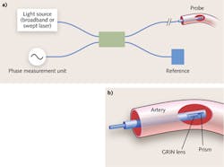 FIGURE 1. OCT imaging can provide real-time in vivo cross-sectional visualization of the internal tissue microstructure morphology by interferometrically measuring the phase delay of the injected light beam (a) using a fiber probe (b).