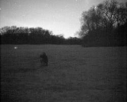 1308lfw3 Fig4 Web 1308lfw3 Fig4 Web