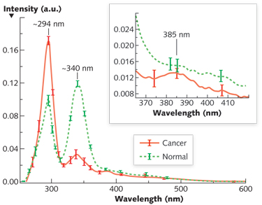 FIGURE 1. Average S3 of cancerous (solid) and normal (dash) breast tissues acquired by the selective &Delta;&lambda;i = 40 nm: The salient difference of S3 between cancerous and normal breast tissues can be observed as two reverses of the peak intensities at ~294 and ~340 nm, and a tiny peak is evident at 385 nm for the cancerous tissue.