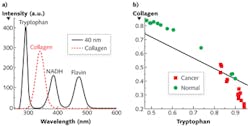 FIGURE 2. (a) S3 of mixed solution of tryptophan, NADH, and flavin obtained by Δλi = 40 nm and aqueous suspension collagen. This shows that in Fig. 1, the main peak at ~290 nm for the S3 of the breast tissues is from tryptophan, the secondary peak at ~340 nm corresponds to collagen, and the tiny peak at ~380 nm correlates with NADH. No obvious peak of flavin was observed. (b) The relative content of tryptophan vs. collagen in cancerous and normal breast tissues, as revealed by analyzing their S3 obtained with the selective Δλi = 40 nm. The concentration of data points for normal tissue at the upper left compared to the concentration of data for the cancerous tissue at the lower right is telling: It indicates that the relative contribution of collagen to the S3 signal in normal tissue is higher than that of cancerous tissues, while the relative contribution of tryptophan in normal tissue is lower than that in the cancerous tissue. The separating line was calculated using linear discriminant analysis (LDA) for the diagnostic significance of tryptophan vs. collagen. FIGURE 2. (a) S3 of mixed solution of tryptophan, NADH, and flavin obtained by Δλi = 40 nm and aqueous suspension collagen. This shows that in Fig. 1, the main peak at ~290 nm for the S3 of the breast tissues is from tryptophan, the secondary peak at ~340 nm corresponds to collagen, and the tiny peak at ~380 nm correlates with NADH. No obvious peak of flavin was observed. (b) The relative content of tryptophan vs. collagen in cancerous and normal breast tissues, as revealed by analyzing their S3 obtained with the selective Δλi = 40 nm. The concentration of data points for normal tissue at the upper left compared to the concentration of data for the cancerous tissue at the lower right is telling: It indicates that the relative contribution of collagen to the S3 signal in normal tissue is higher than that of cancerous tissues, while the relative contribution of tryptophan in normal tissue is lower than that in the cancerous tissue. The separating line was calculated using linear discriminant analysis (LDA) for the diagnostic significance of tryptophan vs. collagen.