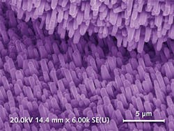 FIGURE 2. A scanning electron microscope (SEM) image shows two facing surfaces of silicon wafers coated with commercially available arrays of self-forming, vertically oriented ZnO nanostructures grown by pulsed laser deposition.