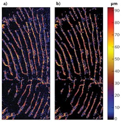 FIGURE 2. A depth-profile image is distorted by blurring artifacts (a). The same image after deblurring shows improved contrast (b). FIGURE 2. A depth-profile image is distorted by blurring artifacts (a). The same image after deblurring shows improved contrast (b).