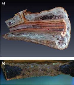 Data from multiple laser ablation tomography (LAT) sections of corn root is rendered into a three-dimensional cutaway revealing the interior features of the root (a). Similarly, a section of Marcellus shale is prepared using LAT (b) using an illumination source that produces autofluorescence of various minerals within the shale. Data from multiple laser ablation tomography (LAT) sections of corn root is rendered into a three-dimensional cutaway revealing the interior features of the root (a). Similarly, a section of Marcellus shale is prepared using LAT (b) using an illumination source that produces autofluorescence of various minerals within the shale.