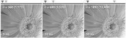 FIGURE 1. Each panel shows the same object imaged with an increasing exposure, but scaled for identical display; above each image is the minimum and maximum on the full intensity scale. The mean intensity in ADUs (and photons) is shown in the top left of each image. The first image only uses a fraction of the camera's dynamic range, but is still visually acceptable. Although the images look similar, image-scaling can deceive, possibly resulting in the use of an image with fewer photons and therefore lower signal to noise. FIGURE 1. Each panel shows the same object imaged with an increasing exposure, but scaled for identical display; above each image is the minimum and maximum on the full intensity scale. The mean intensity in ADUs (and photons) is shown in the top left of each image. The first image only uses a fraction of the camera's dynamic range, but is still visually acceptable. Although the images look similar, image-scaling can deceive, possibly resulting in the use of an image with fewer photons and therefore lower signal to noise.