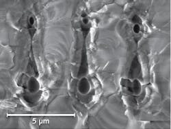 1403lfwnbf1web 1403lfwnbf1web